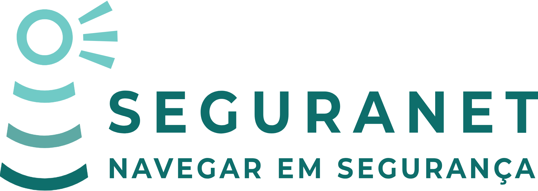 Logo seguranet novo